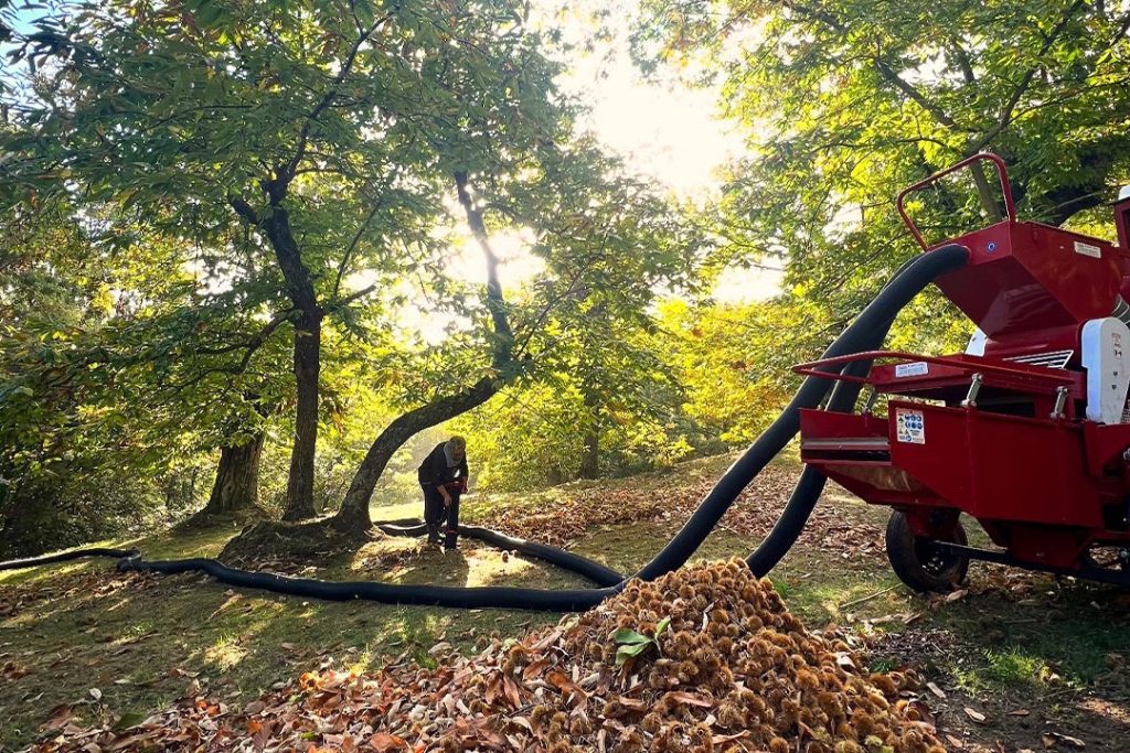 Retreats - Gardens and Landscapes