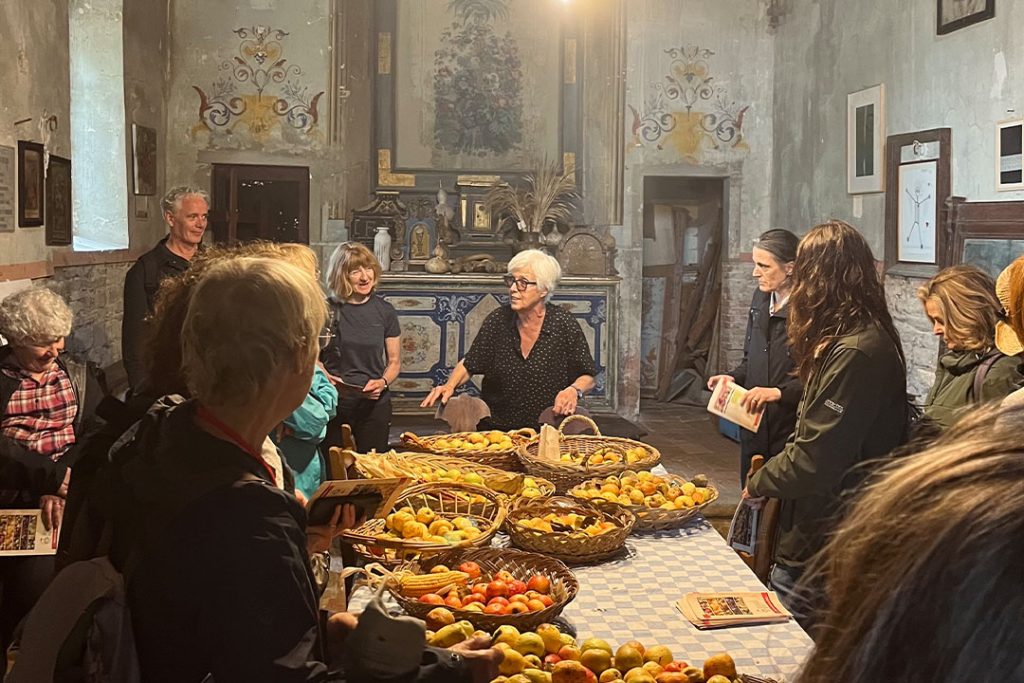 Umbrian Harvest Retreat